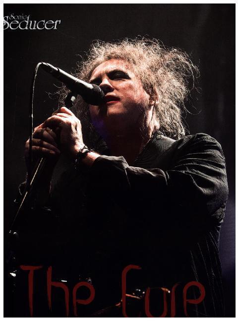 Cover: 9783958970823 | The Cure | Buch | 2017 | Thomas Vogel Media | EAN 9783958970823