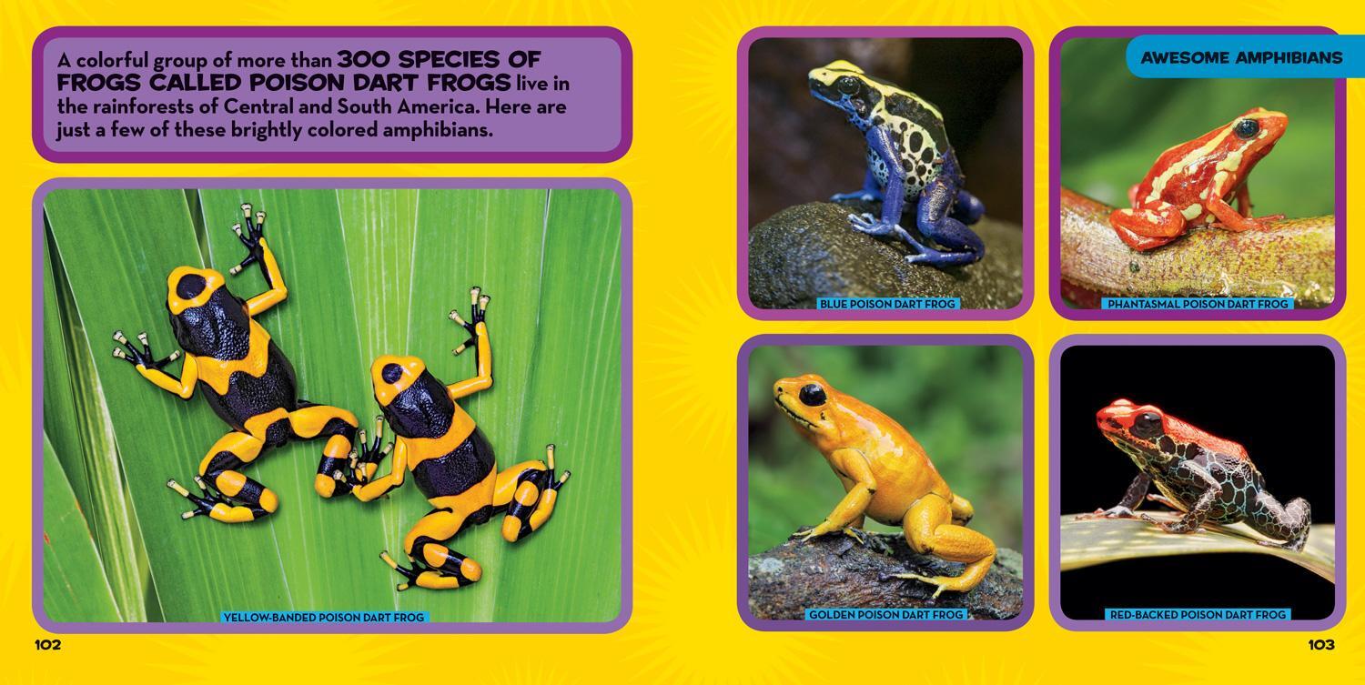 Bild: 9781426338182 | Little Kids First Big Book of Reptiles and Amphibians | Kids | Buch