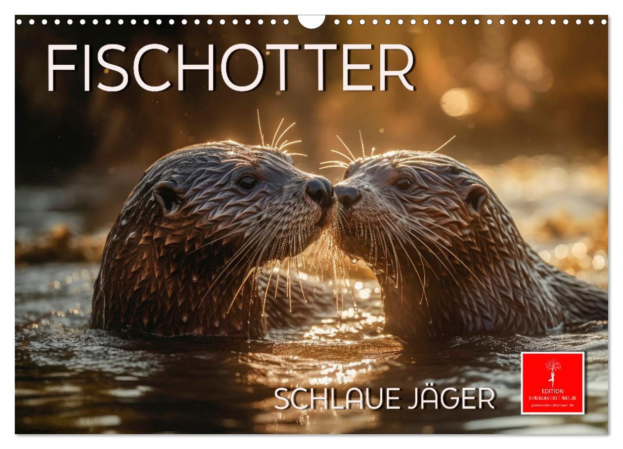 Cover: 9783383906145 | Fischotter - schlaue Jäger (Wandkalender 2025 DIN A3 quer),...