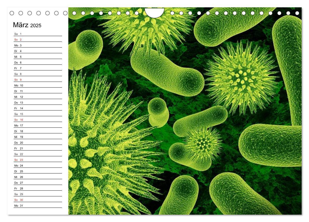 Bild: 9783435483808 | Mikrobiologie. Mikroorganismen, Genetik und Zellen (Wandkalender...