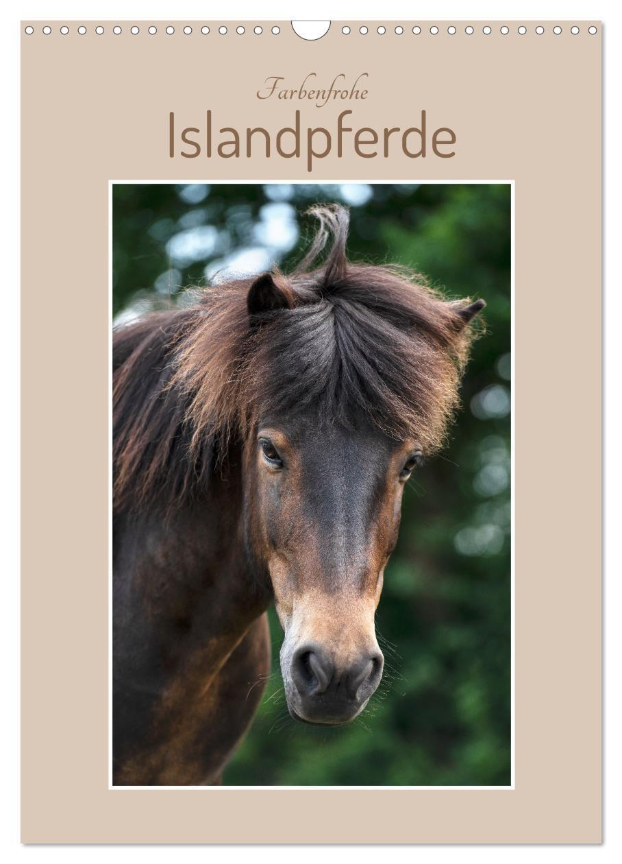 Cover: 9783435887705 | Farbenfrohe Islandpferde (Wandkalender 2025 DIN A3 hoch), CALVENDO...