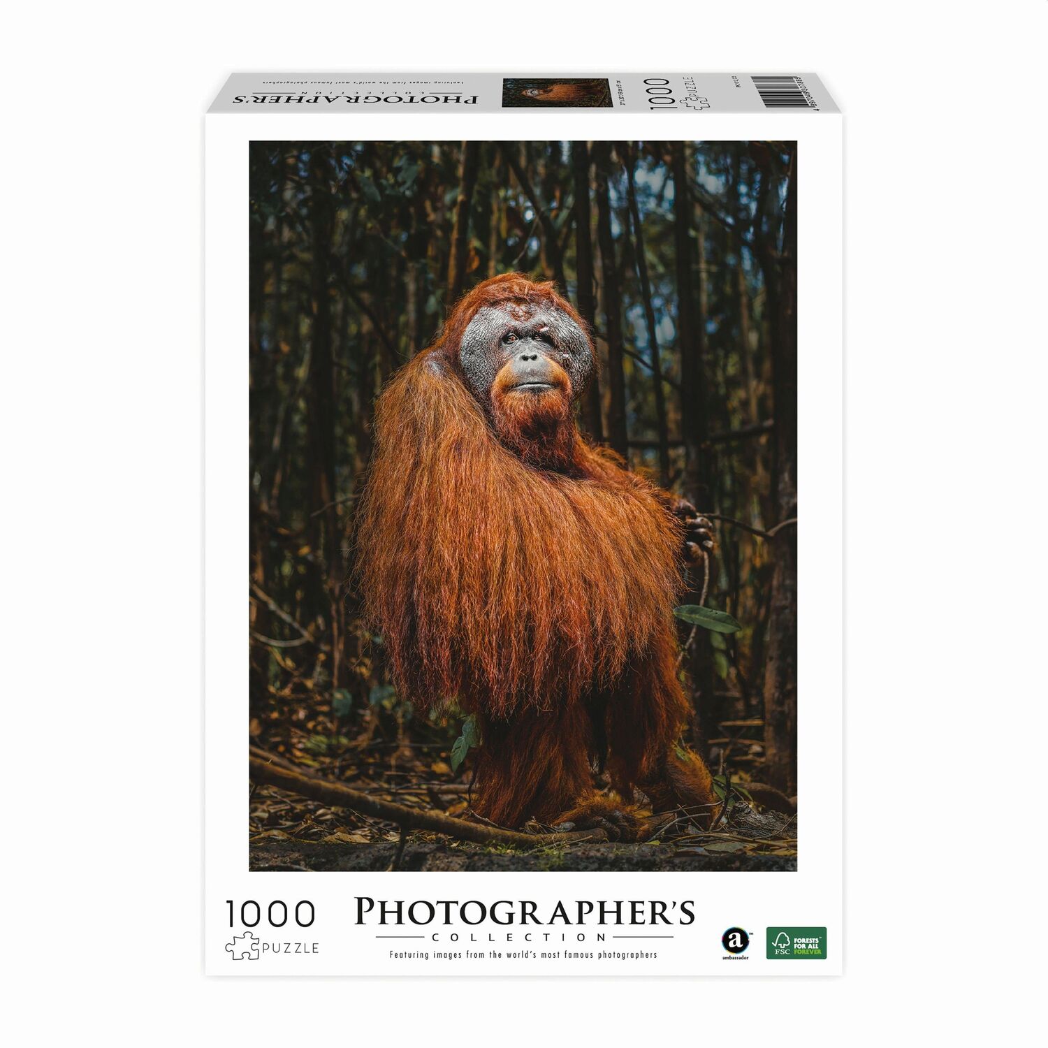 Cover: 4897049307865 | AMBASSADOR - Orang-Utan 1000 Teile (Donal Boyd) | Donal Boyd | Spiel