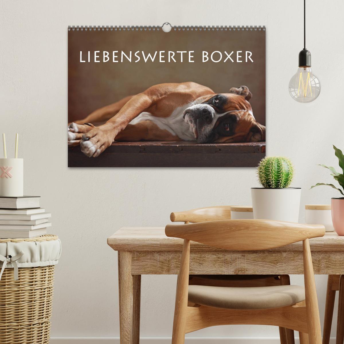 Bild: 9783435436255 | Liebenswerte Boxer (Wandkalender 2025 DIN A3 quer), CALVENDO...