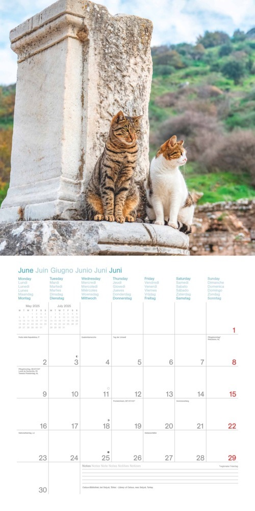 Bild: 4002725987945 | N NEUMANNVERLAGE - Cats Around the World 2025 Broschürenkalender,...