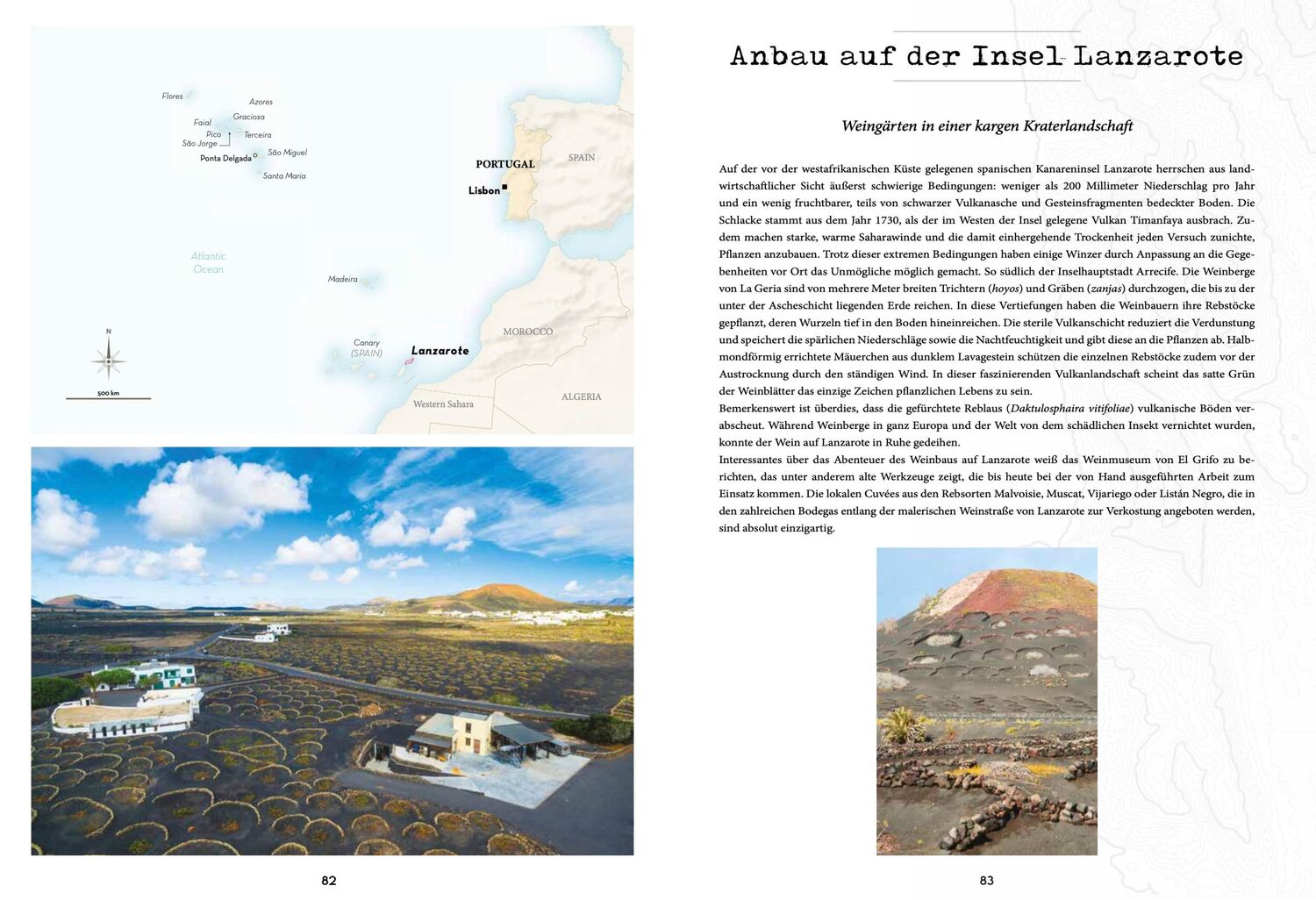 Bild: 9782361955281 | Atlas der außergewöhnlichen Weine | Pierrick Bourgault | Taschenbuch