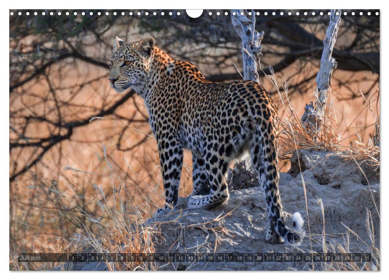 Bild: 9783435725472 | Botswana ¿ Landschaft und Tierwelt (Wandkalender 2025 DIN A3 quer),...