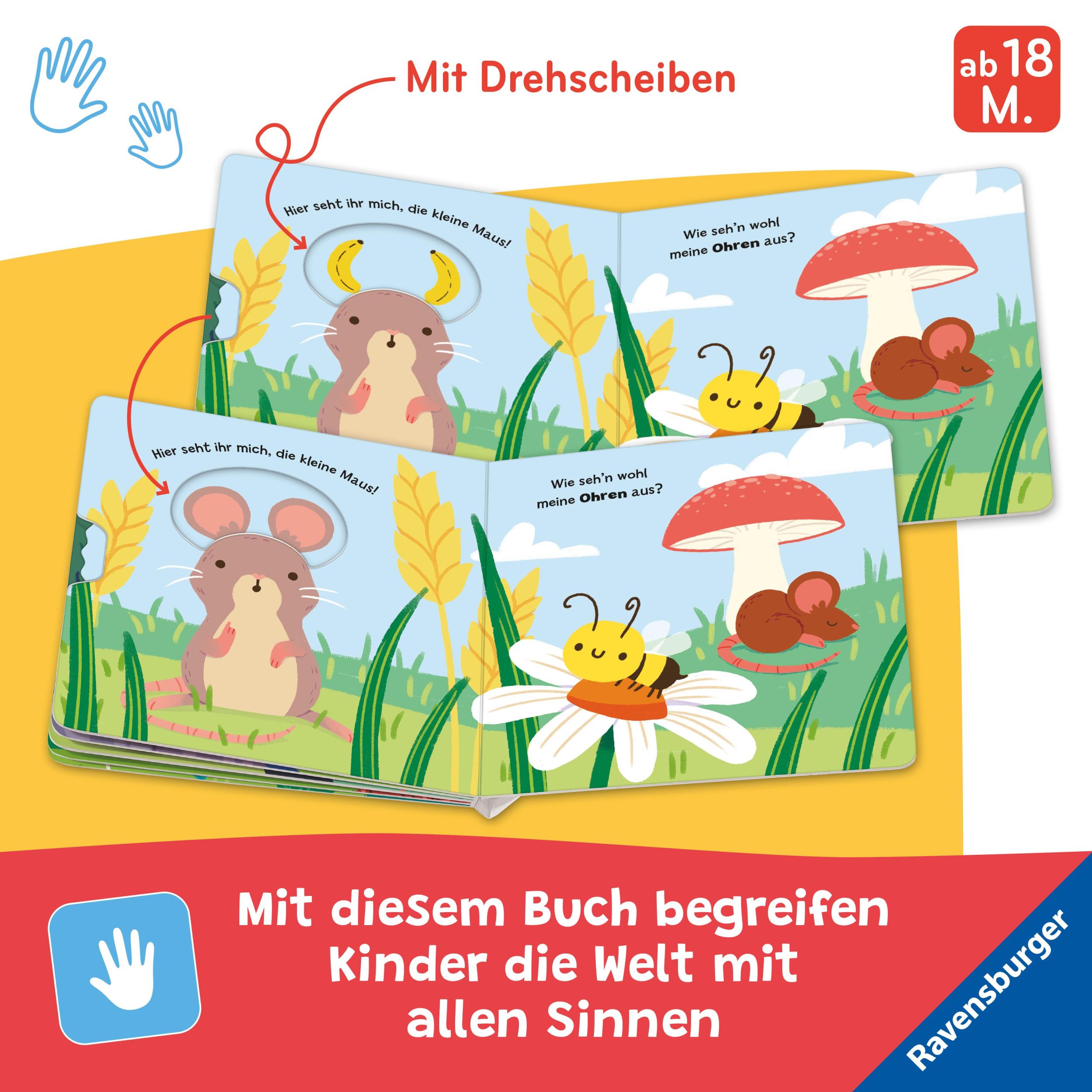 Bild: 9783473420704 | Was wackelt hier? | Tiny and Tim Limited | Buch | 12 S. | Deutsch