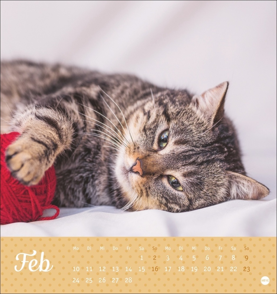 Bild: 9783756407026 | Katzen Postkartenkalender Kleine Tiger 2025 | Kalender | Spiralbindung