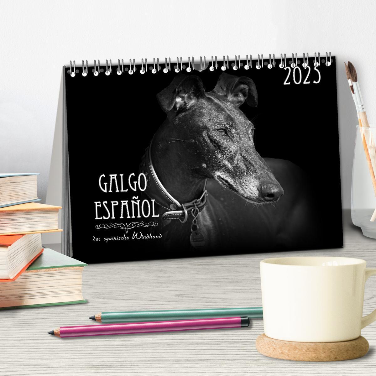 Bild: 9783383824036 | Galgo Español - der spanische Windhund 2025 (Tischkalender 2025 DIN...