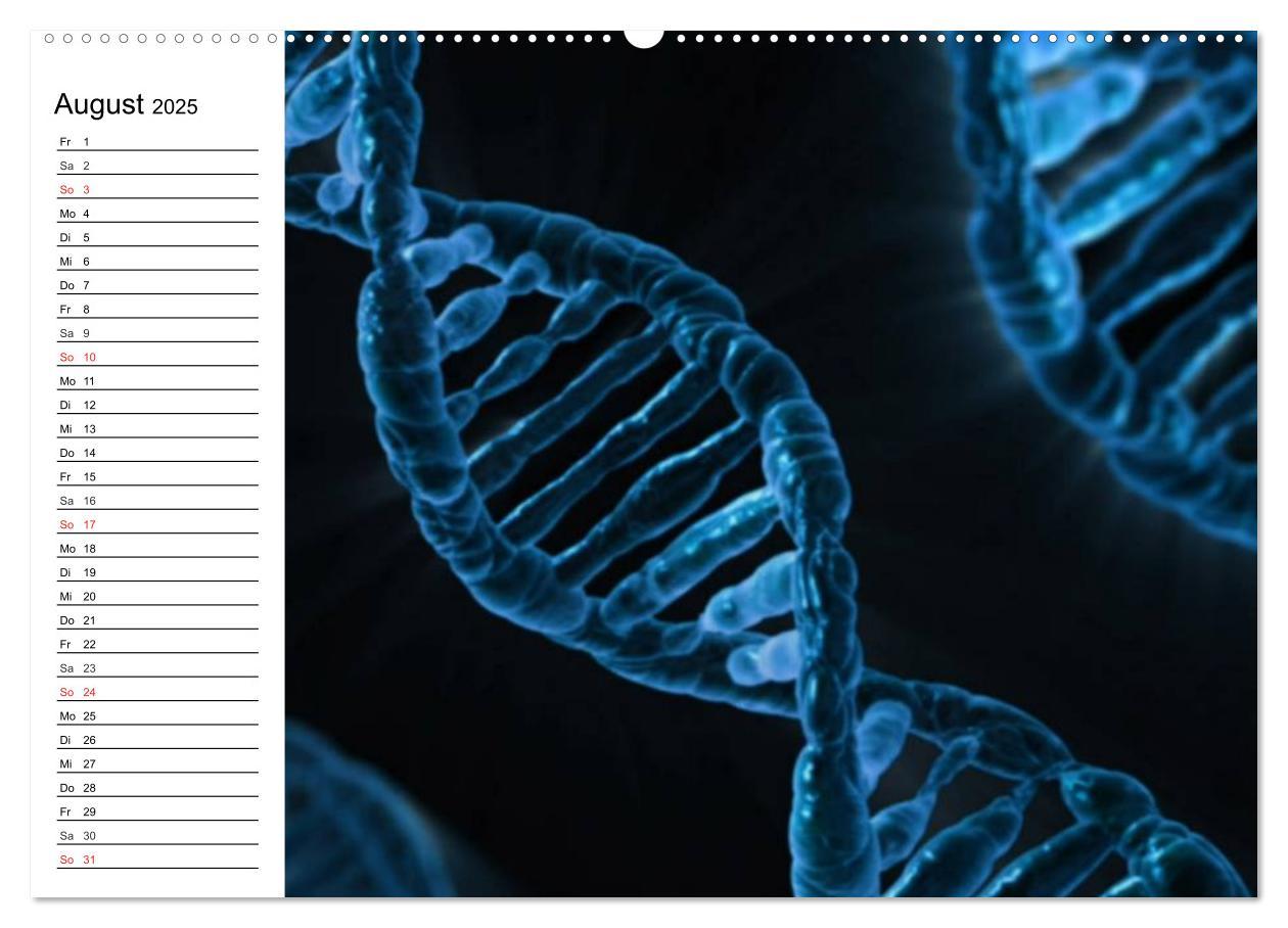 Bild: 9783435482962 | Mikrobiologie. Mikroorganismen, Genetik und Zellen (Wandkalender...