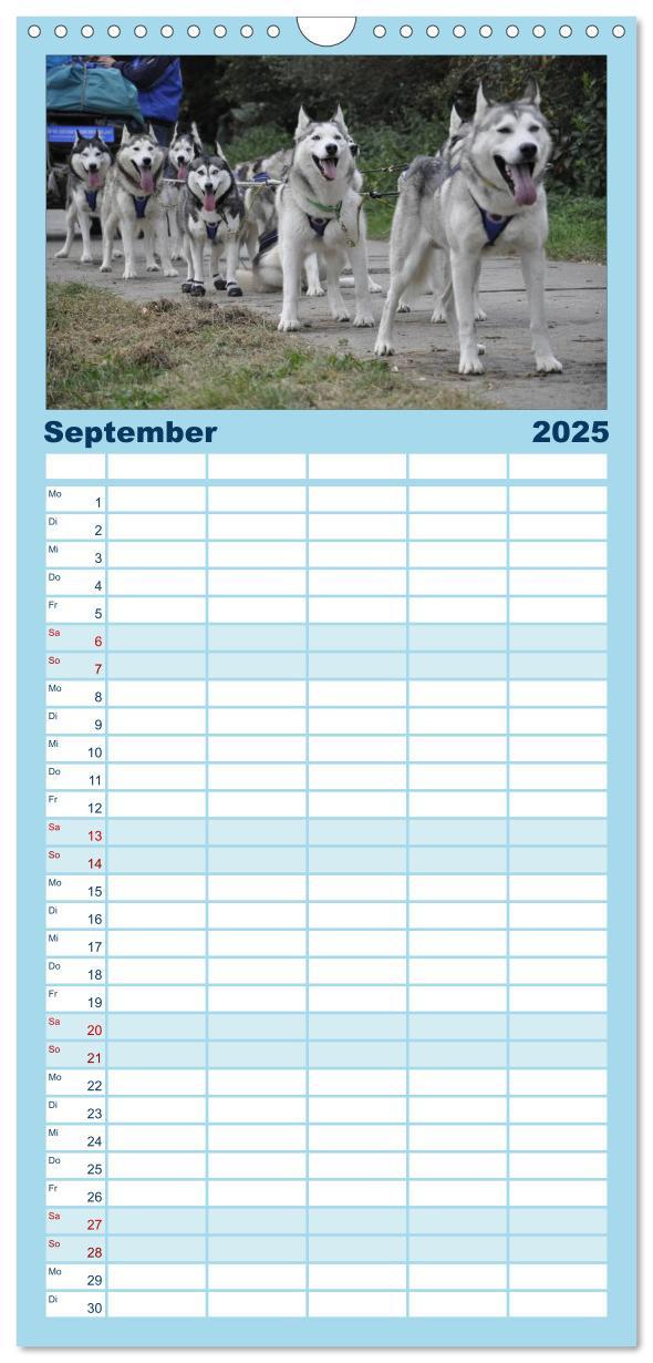 Bild: 9783457113264 | Familienplaner 2025 - Husky-Kalender mit 5 Spalten (Wandkalender,...