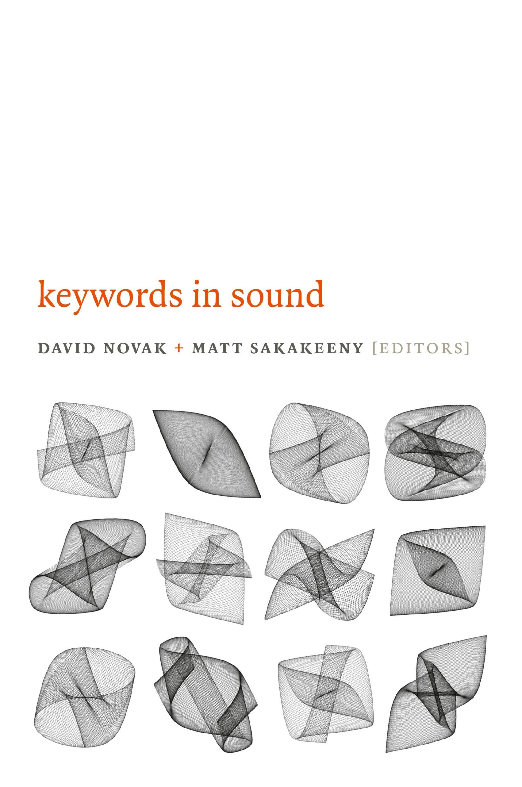 Cover: 9780822358893 | Keywords in Sound | David Novak | Taschenbuch | Englisch | 2015