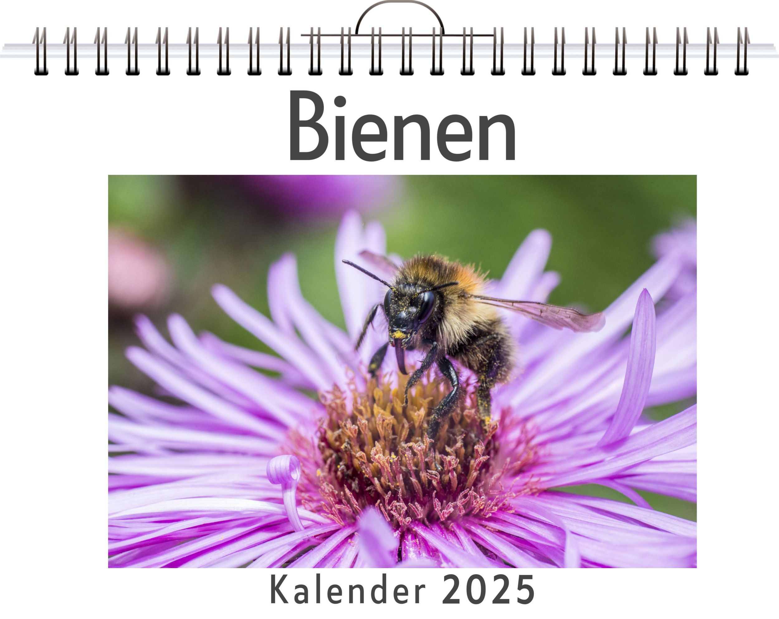 Cover: 9783759128584 | Bienen | David Hofmann | Kalender | Kalender | 14 S. | Deutsch