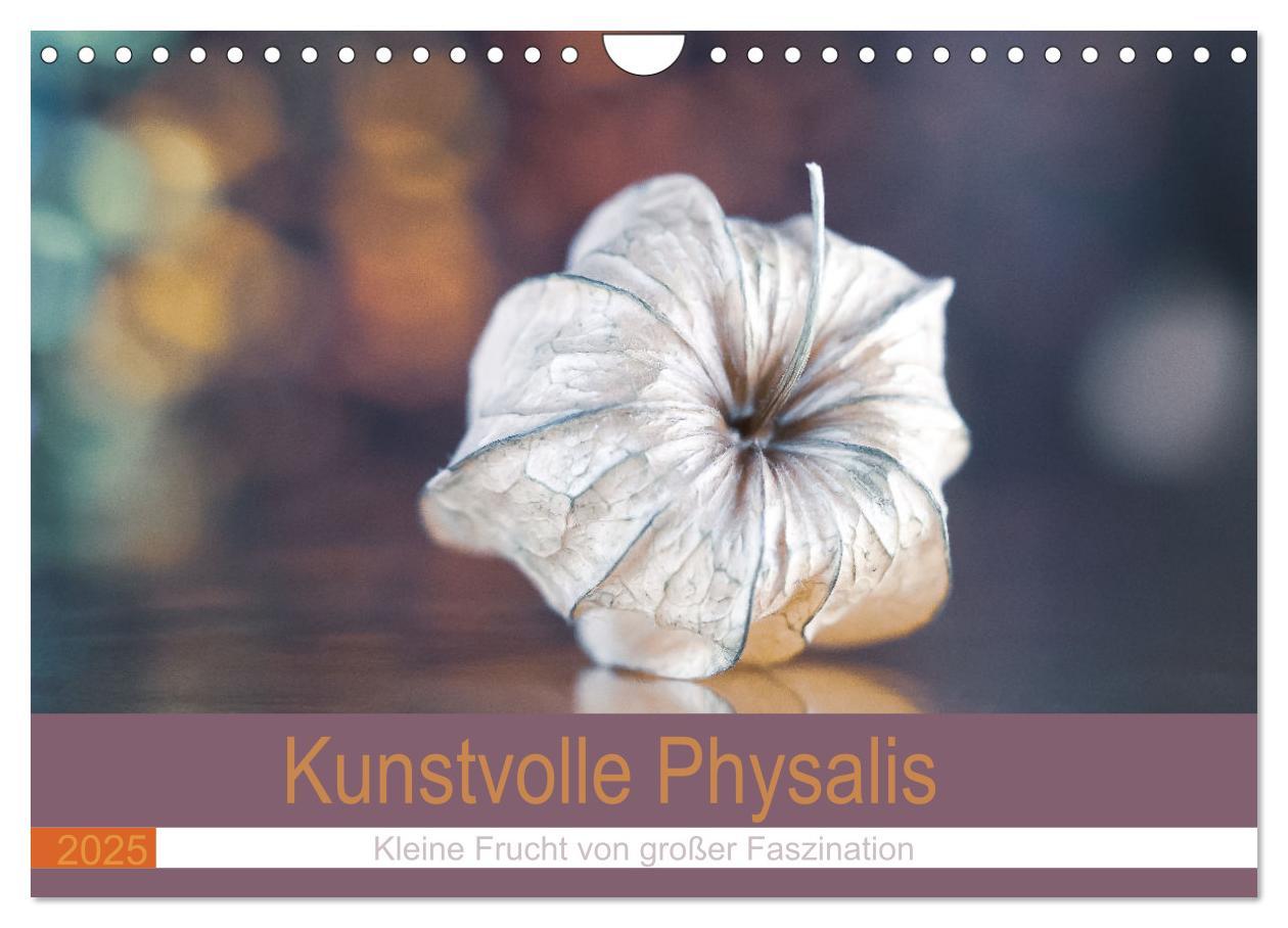 Cover: 9783435069422 | Kunstvolle Physalis-Kleine Frucht von großer Faszination...