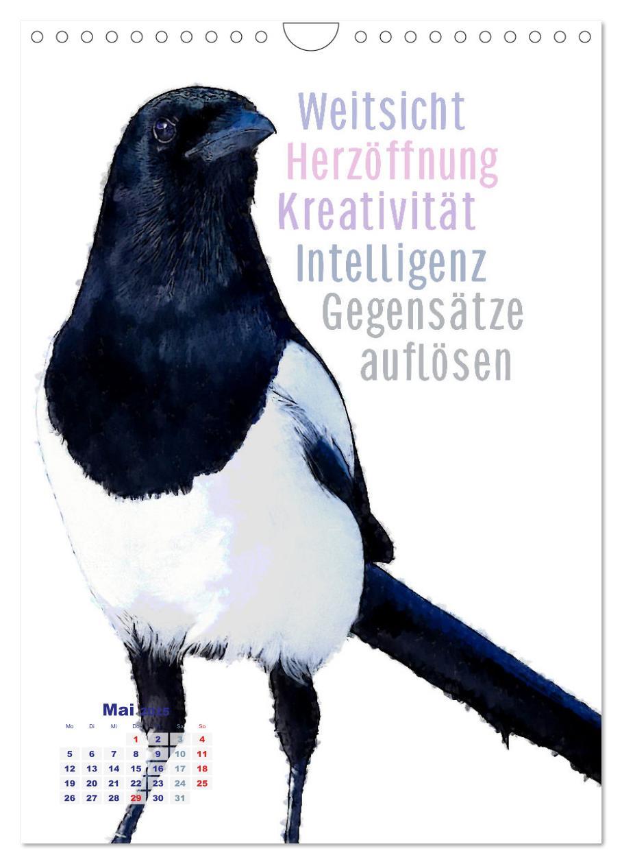 Bild: 9783457137437 | Welche spirituelle Bedeutung hat dieser Vogel? (Wandkalender 2025...