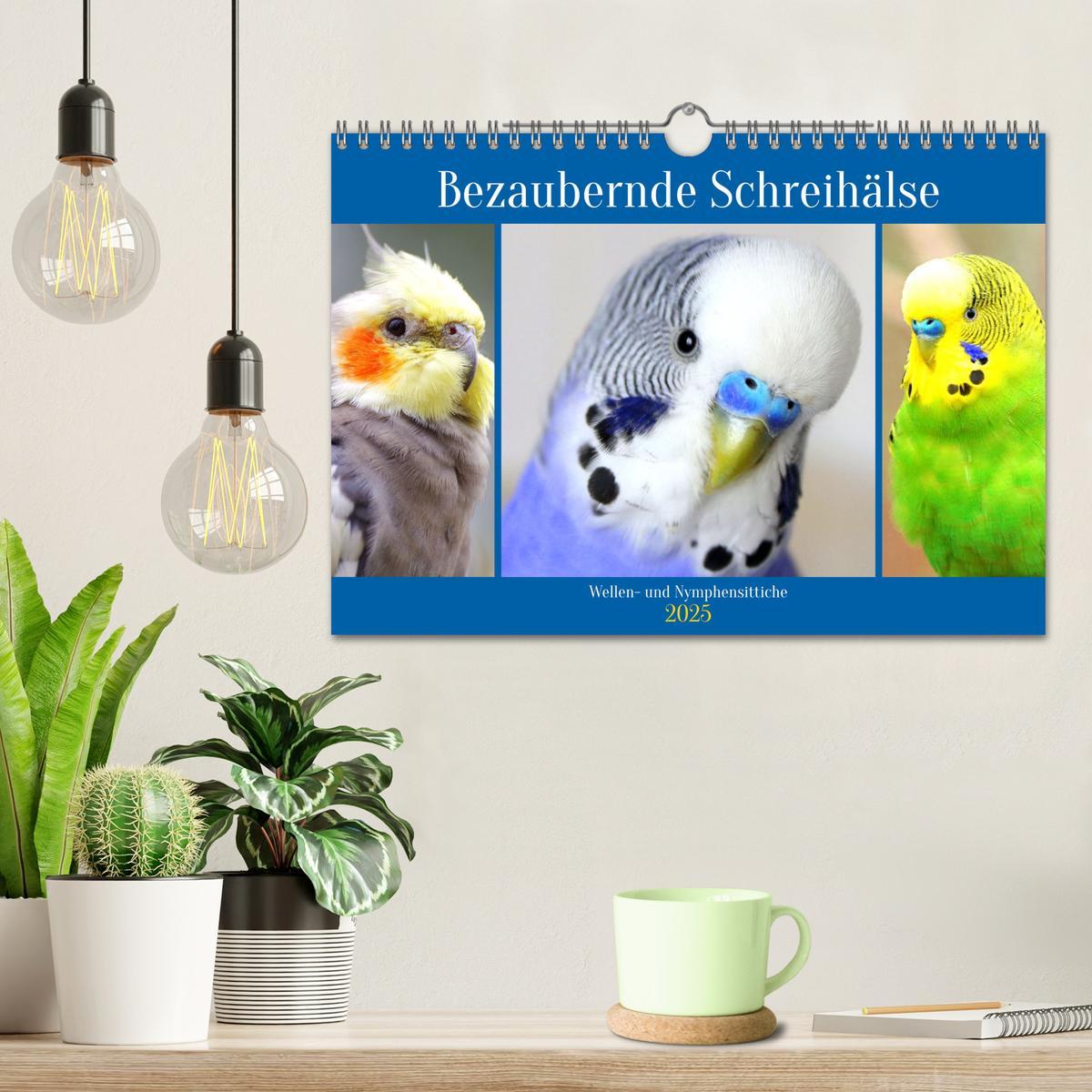 Bild: 9783435026746 | Bezaubernde Schreihälse. Wellen- und Nymphensittiche (Wandkalender...