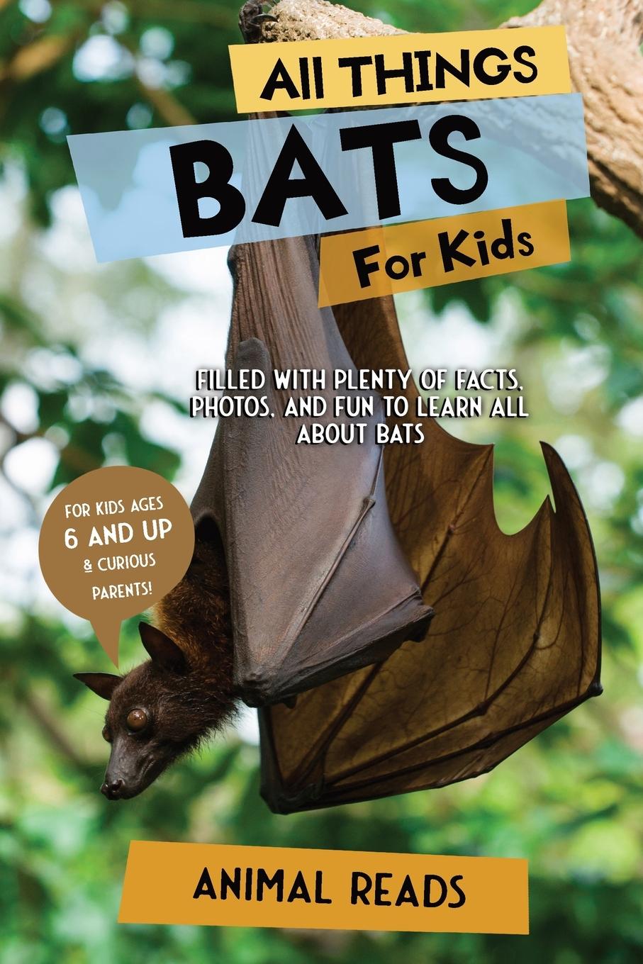 Cover: 9783967721157 | All Things Bats For Kids | Animal Reads | Taschenbuch | Englisch