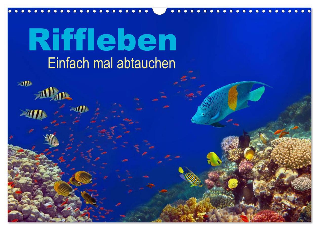 Cover: 9783435607488 | Riffleben - Einfach mal abtauchen (Wandkalender 2025 DIN A3 quer),...