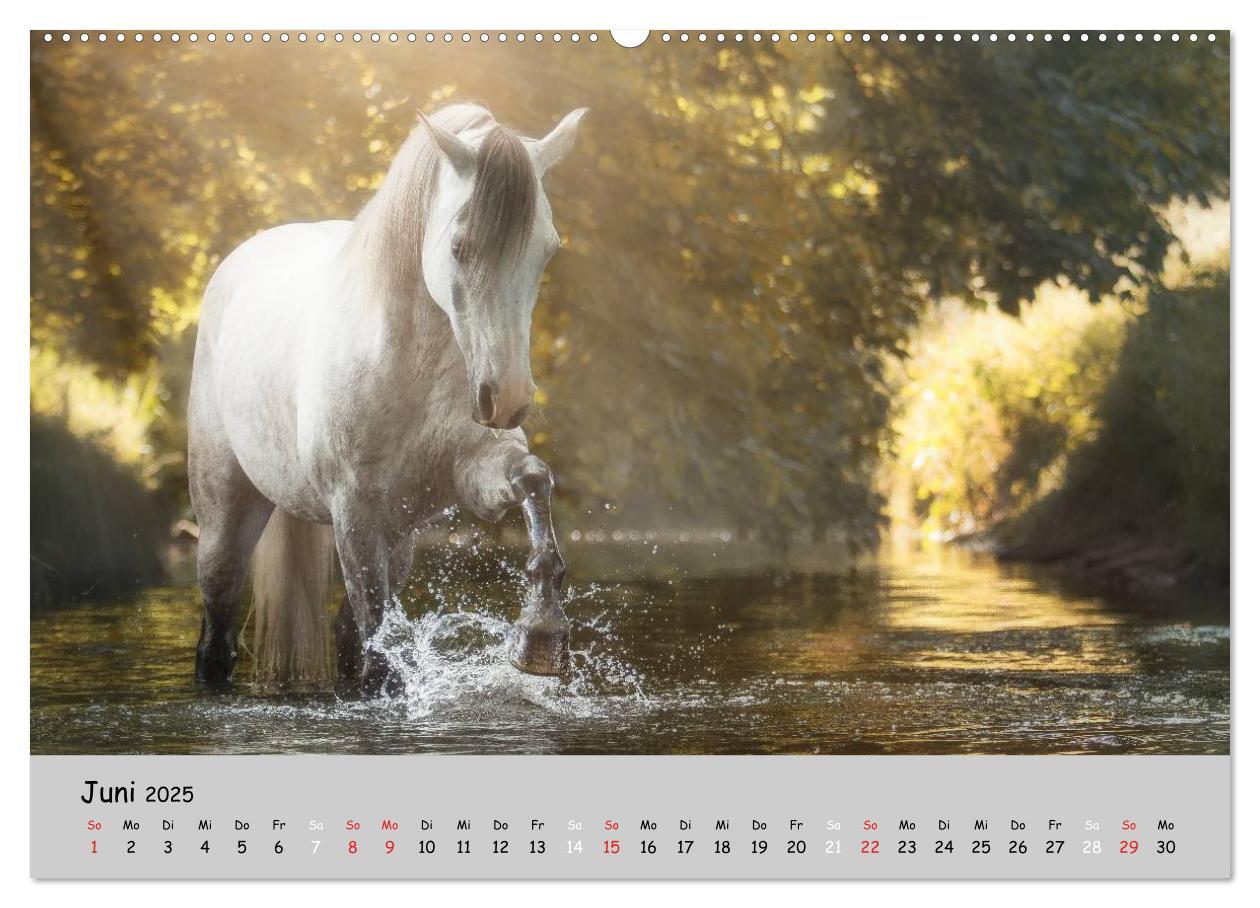 Bild: 9783435563074 | Pferde - Anmut und Stärke gepaart mit Magie (Wandkalender 2025 DIN...