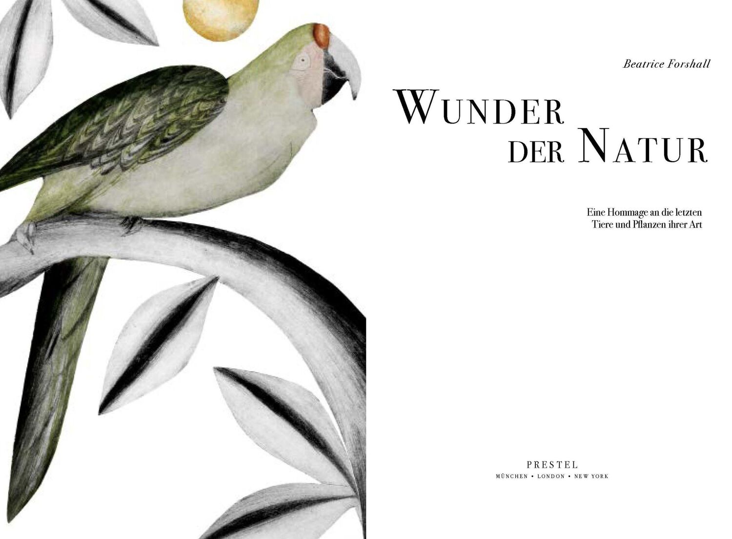 Bild: 9783791389462 | Wunder der Natur | Beatrice Forshall | Buch | 256 S. | Deutsch | 2023