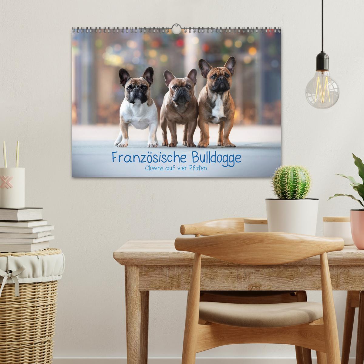 Bild: 9783435222155 | Französische Bulldogge - Clowns auf vier Pfoten (Wandkalender 2025...