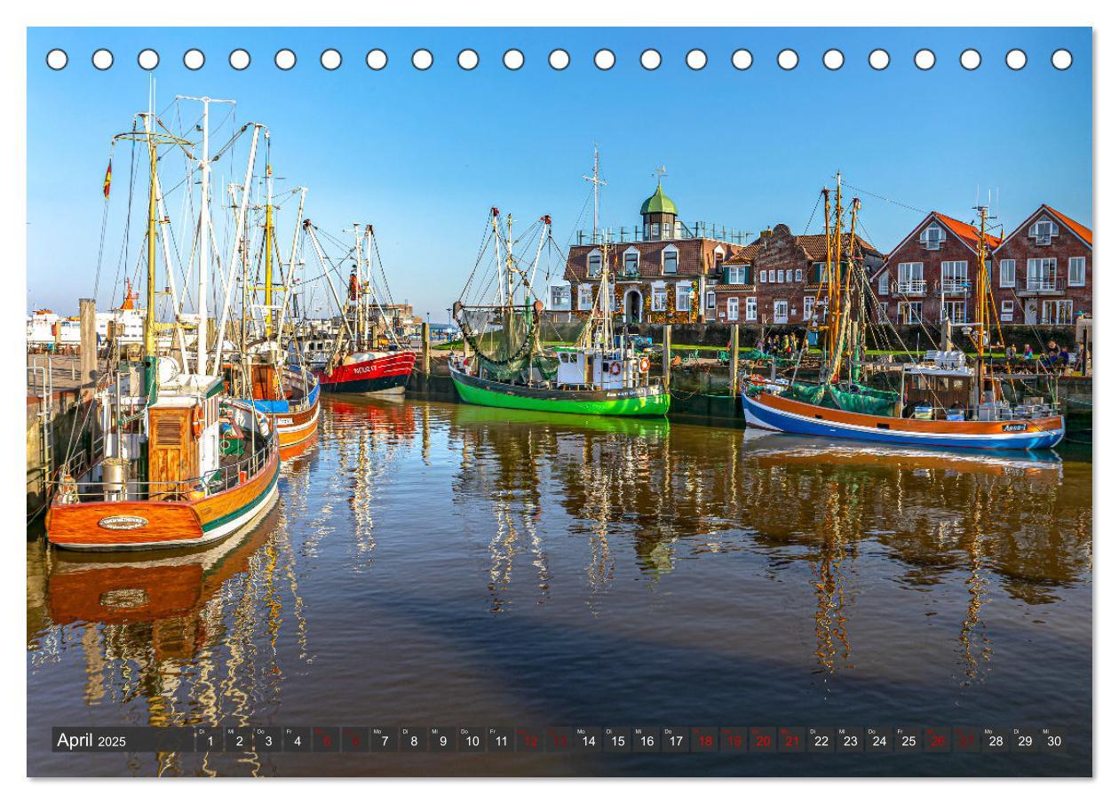 Bild: 9783383969409 | Tour de Ostfriesland (Tischkalender 2025 DIN A5 quer), CALVENDO...