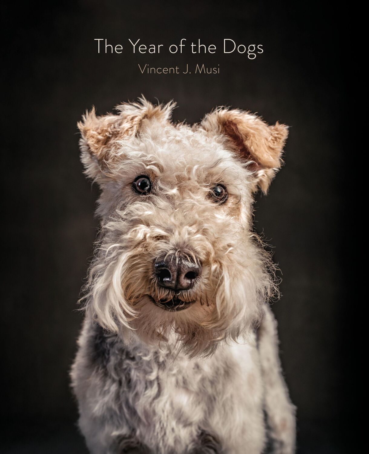 Cover: 9781452181929 | The Year of the Dogs | Vincent J. Musi | Buch | Gebunden | Englisch