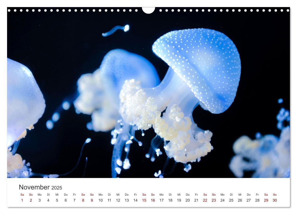 Bild: 9783383938290 | Tiefsee - Ein Abenteuer ins Unbekannte. (Wandkalender 2025 DIN A3...