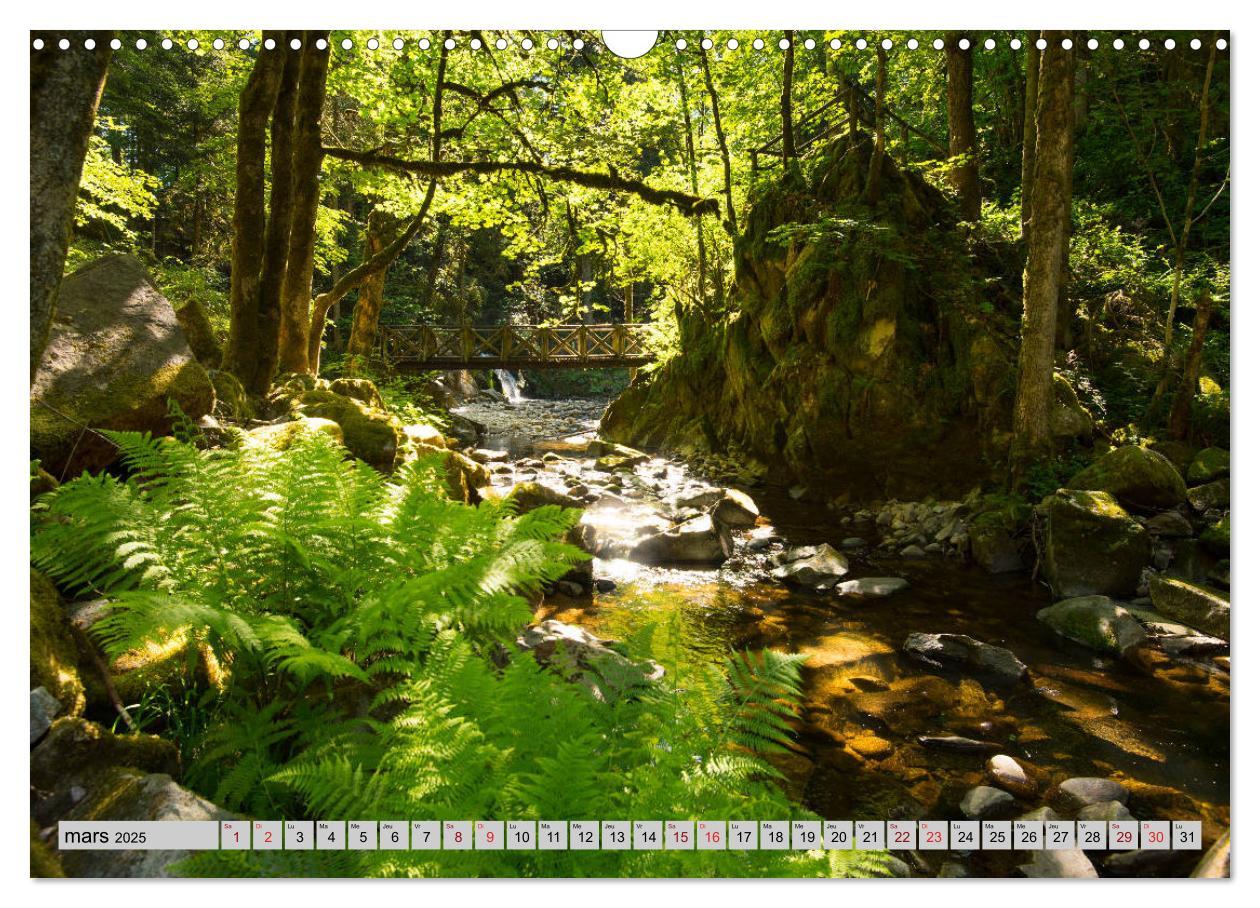 Bild: 9781325937813 | Splendeurs des Vosges (Calendrier mural 2025 DIN A3 vertical),...