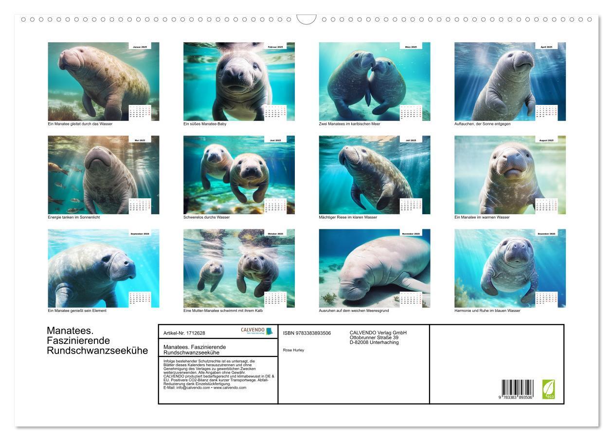 Bild: 9783383893506 | Manatees. Faszinierende Rundschwanzseekühe (Wandkalender 2025 DIN...