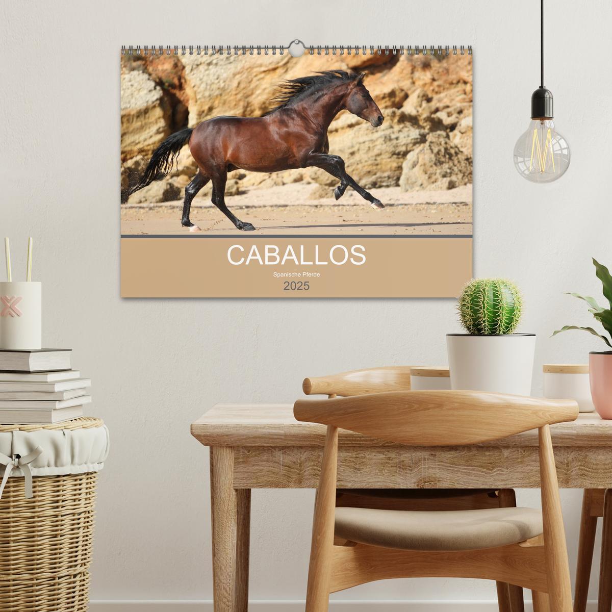 Bild: 9783435566822 | Caballos Spanische Pferde 2025 (Wandkalender 2025 DIN A3 quer),...