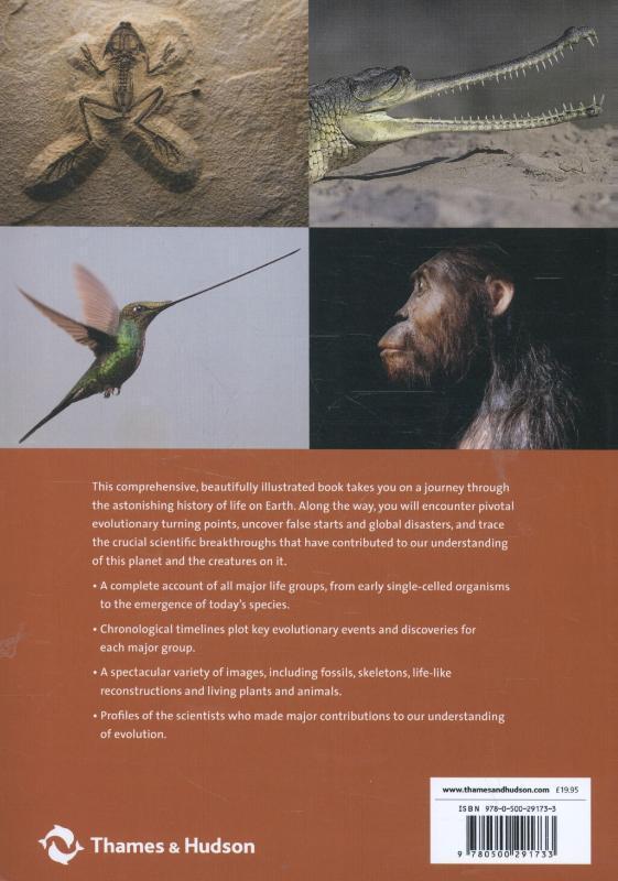 Rückseite: 9780500291733 | Evolution: The Whole Story | Steve Parker (u. a.) | Taschenbuch | 2015