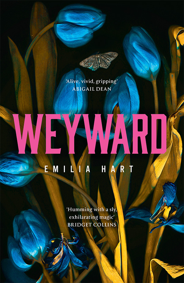 Cover: 9780008499099 | Weyward | Emilia Hart | Taschenbuch | 384 S. | Englisch | 2023