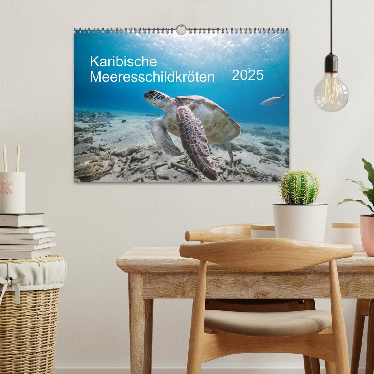 Bild: 9783435343782 | Karibische Meeresschildkröten (Wandkalender 2025 DIN A3 quer),...