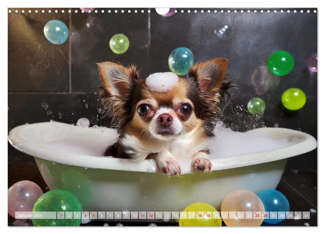 Bild: 9783383819643 | Chillige Chihuahuas - Entspannte Fellnasen genießen das Leben...