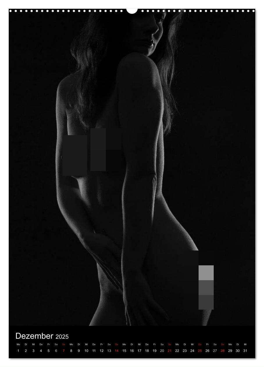 Bild: 9783457080450 | Erotische Silhouetten / CH-Version (Wandkalender 2025 DIN A2 hoch),...