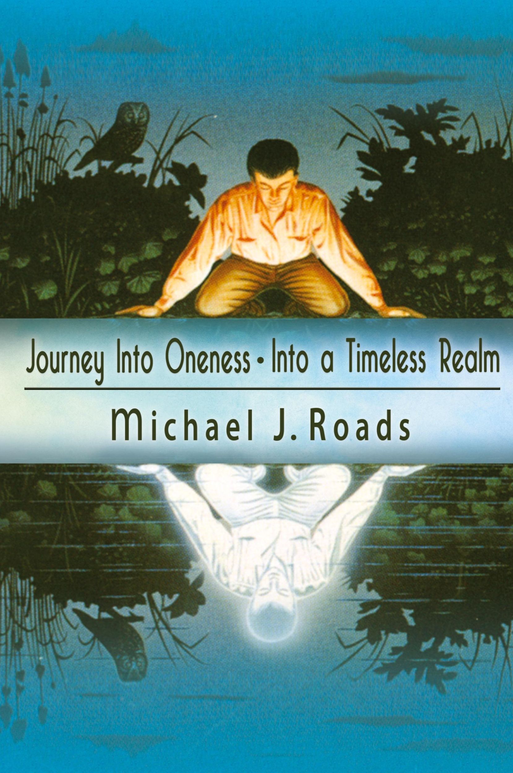 Cover: 9781942497066 | Journey Into Oneness - Into a Timeless Realm | Michael J Roads | Buch