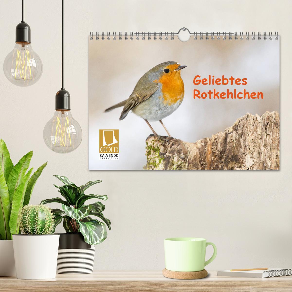 Bild: 9783435173853 | Geliebtes Rotkehlchen (Wandkalender 2025 DIN A4 quer), CALVENDO...