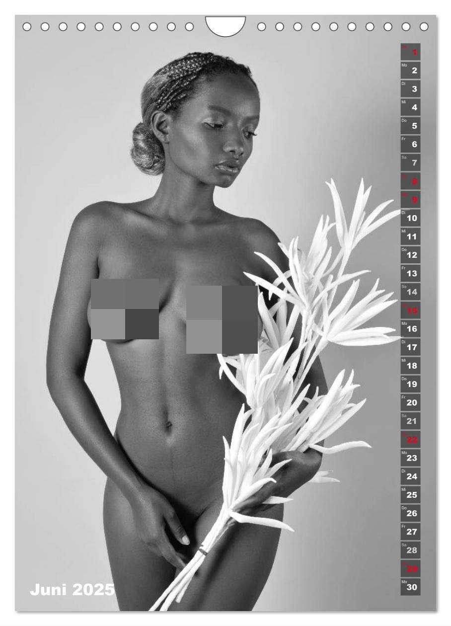 Bild: 9783435959181 | EROTIK FOTOART SEXY GIRLS (Wandkalender 2025 DIN A4 hoch), CALVENDO...