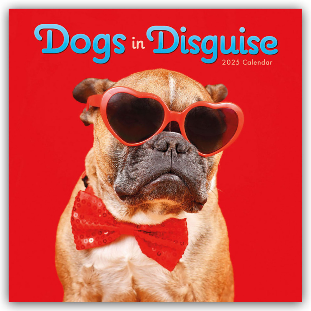 Cover: 9781529846348 | Dogs in Disguise - Verkleidete Hunde - Hunde in Verkleidung 2025 -...