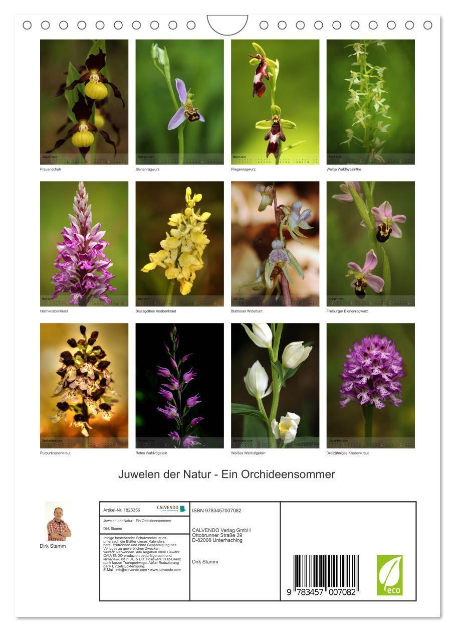 Bild: 9783457007082 | Juwelen der Natur - Ein Orchideensommer (Wandkalender 2025 DIN A4...