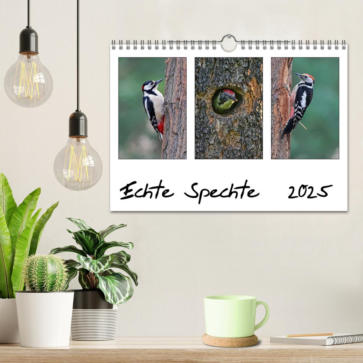 Bild: 9783435619597 | Echte Spechte (Wandkalender 2025 DIN A4 quer), CALVENDO Monatskalender