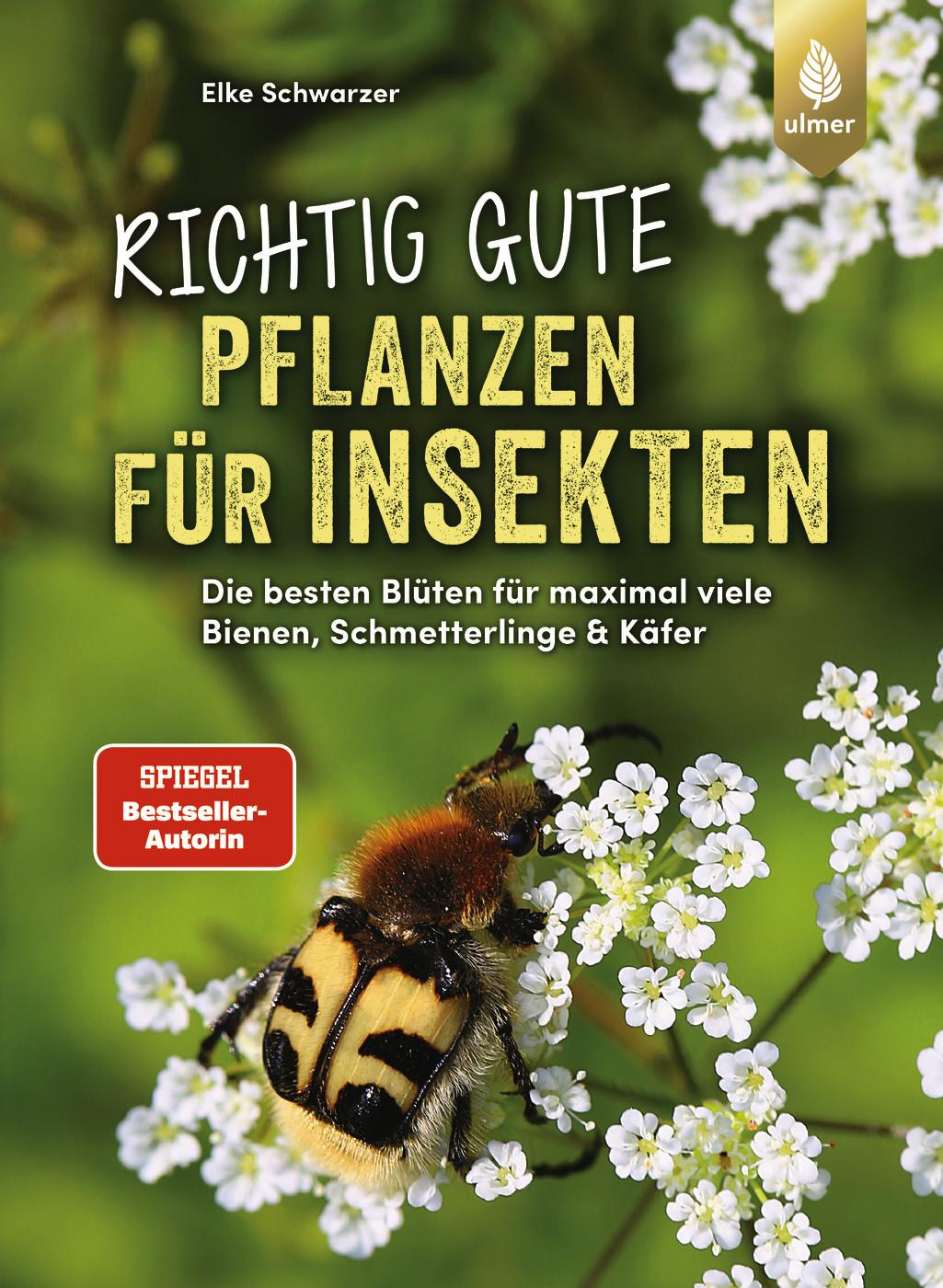 Cover: 9783818623906 | Richtig gute Pflanzen für Insekten | Elke Schwarzer | Taschenbuch