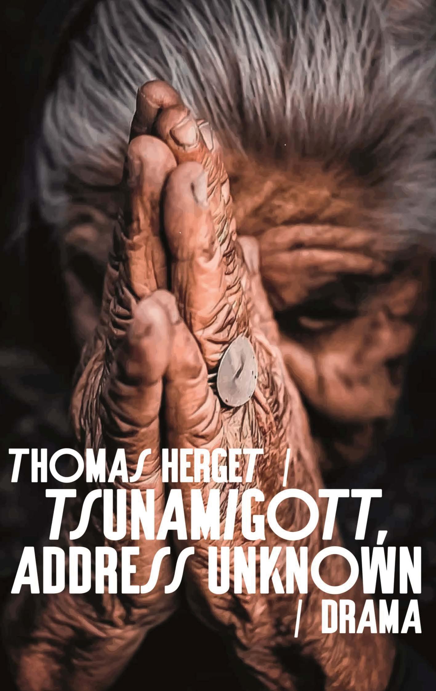 Cover: 9783759760524 | Tsunamigott, address unknown | Thomas Herget | Taschenbuch | Paperback