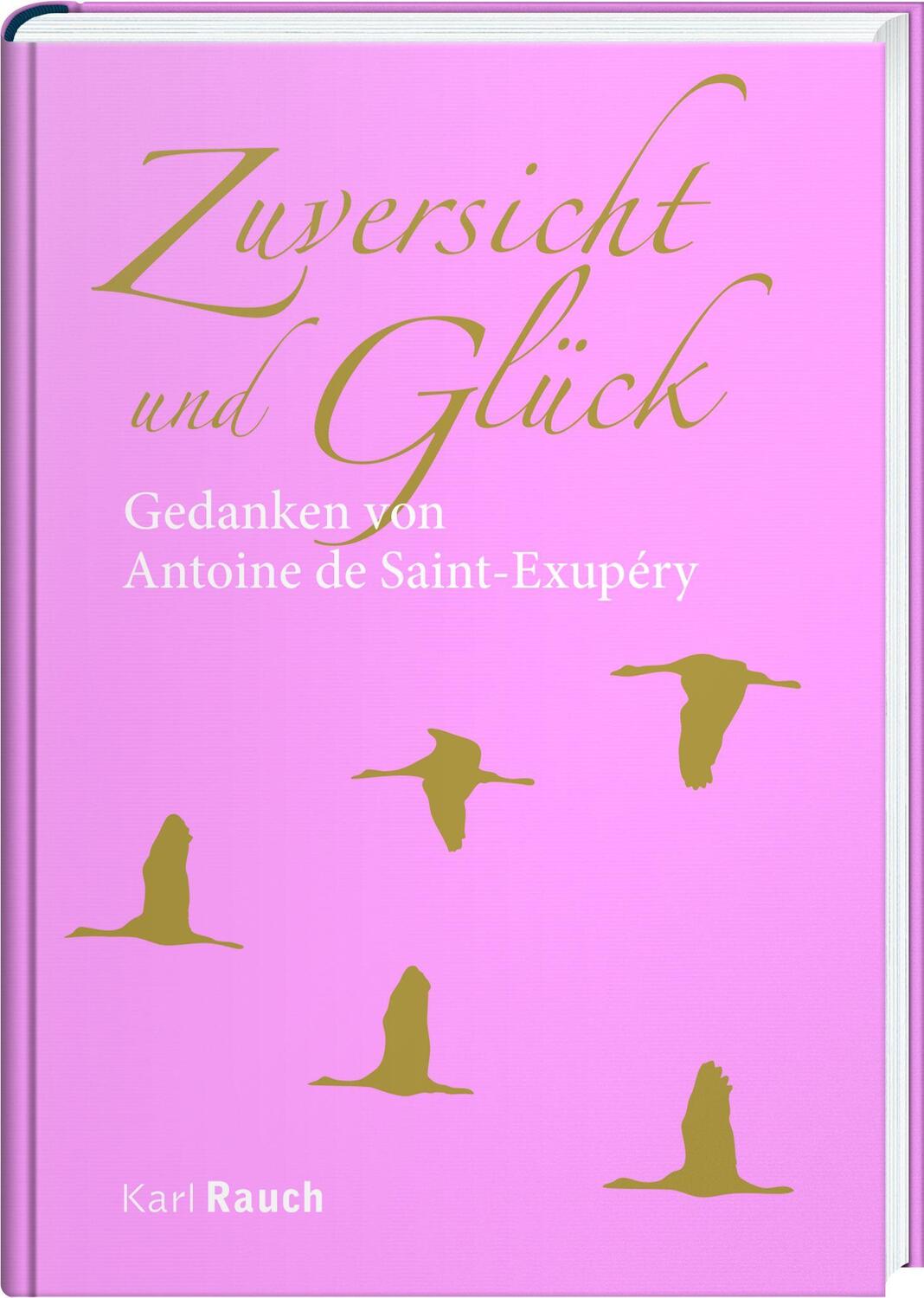 Cover: 9783792000755 | Zuversicht und Glück | Zitate von Antoine de Saint-Exupéry | Buch