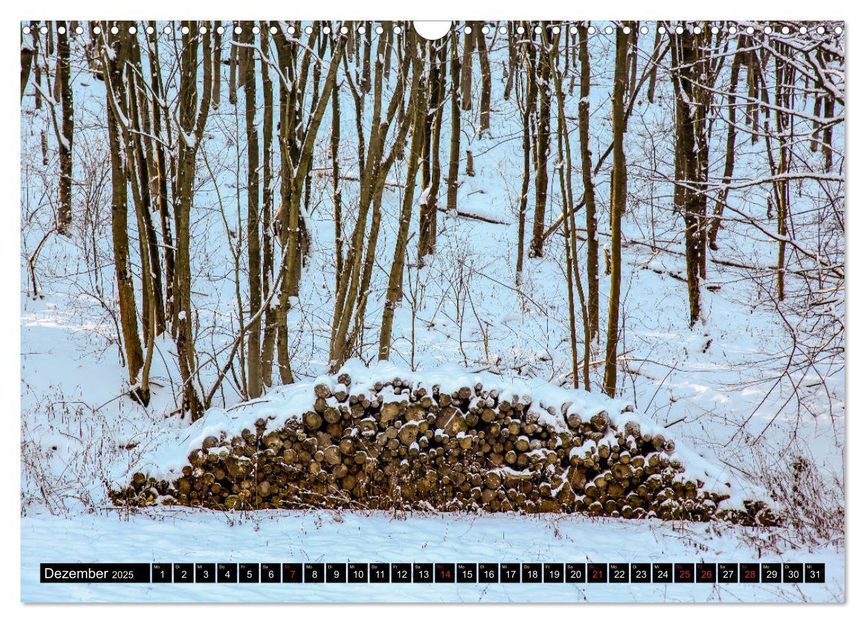 Bild: 9783435241507 | Arnsberger Wald (Wandkalender 2025 DIN A3 quer), CALVENDO...