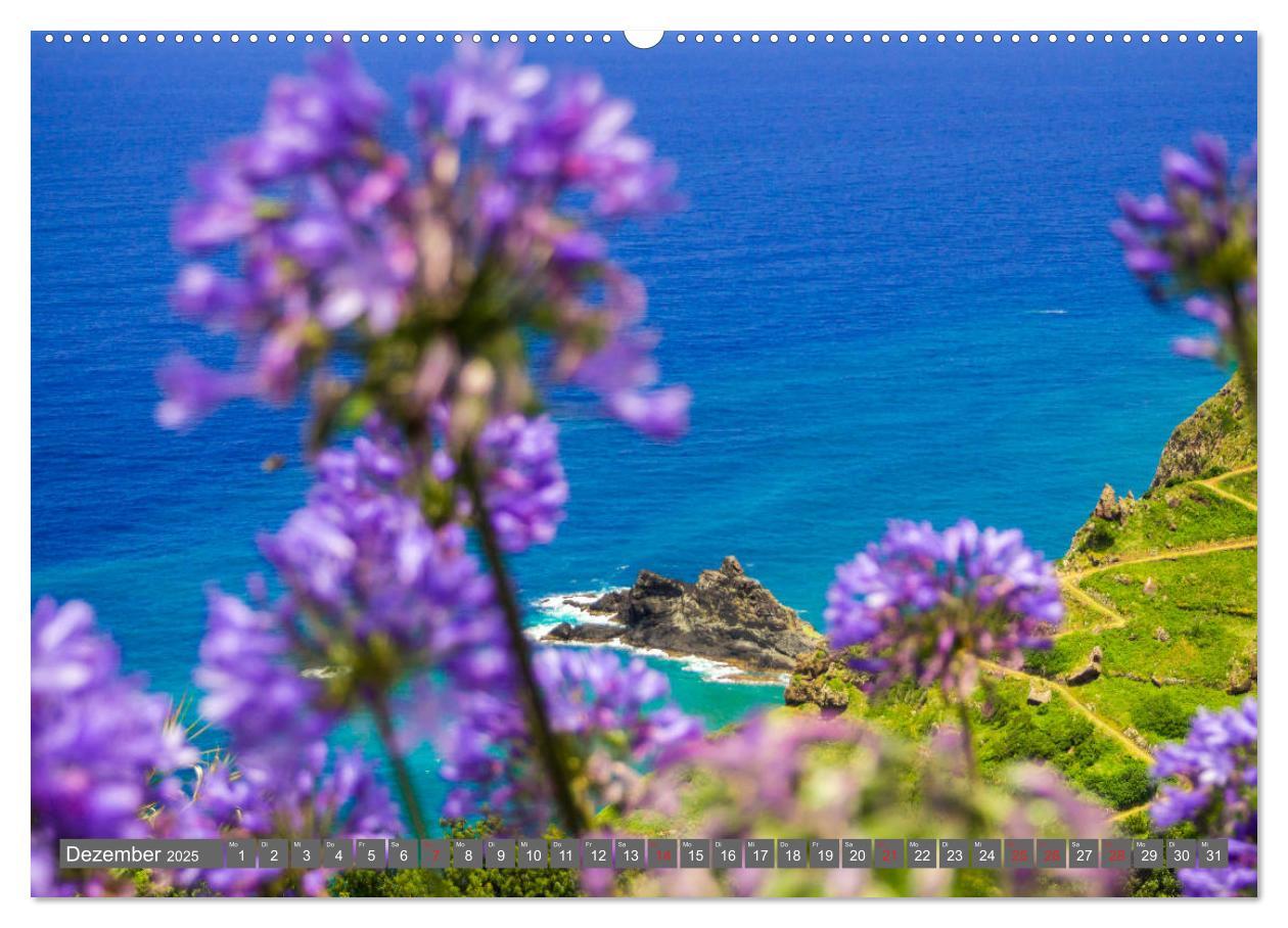 Bild: 9783435222308 | Madeira - Insel der Blumen 2025 (Wandkalender 2025 DIN A2 quer),...