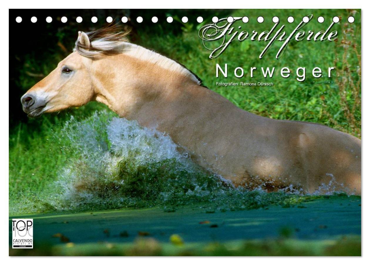 Cover: 9783435752515 | Fjordpferde - Norweger (Tischkalender 2025 DIN A5 quer), CALVENDO...