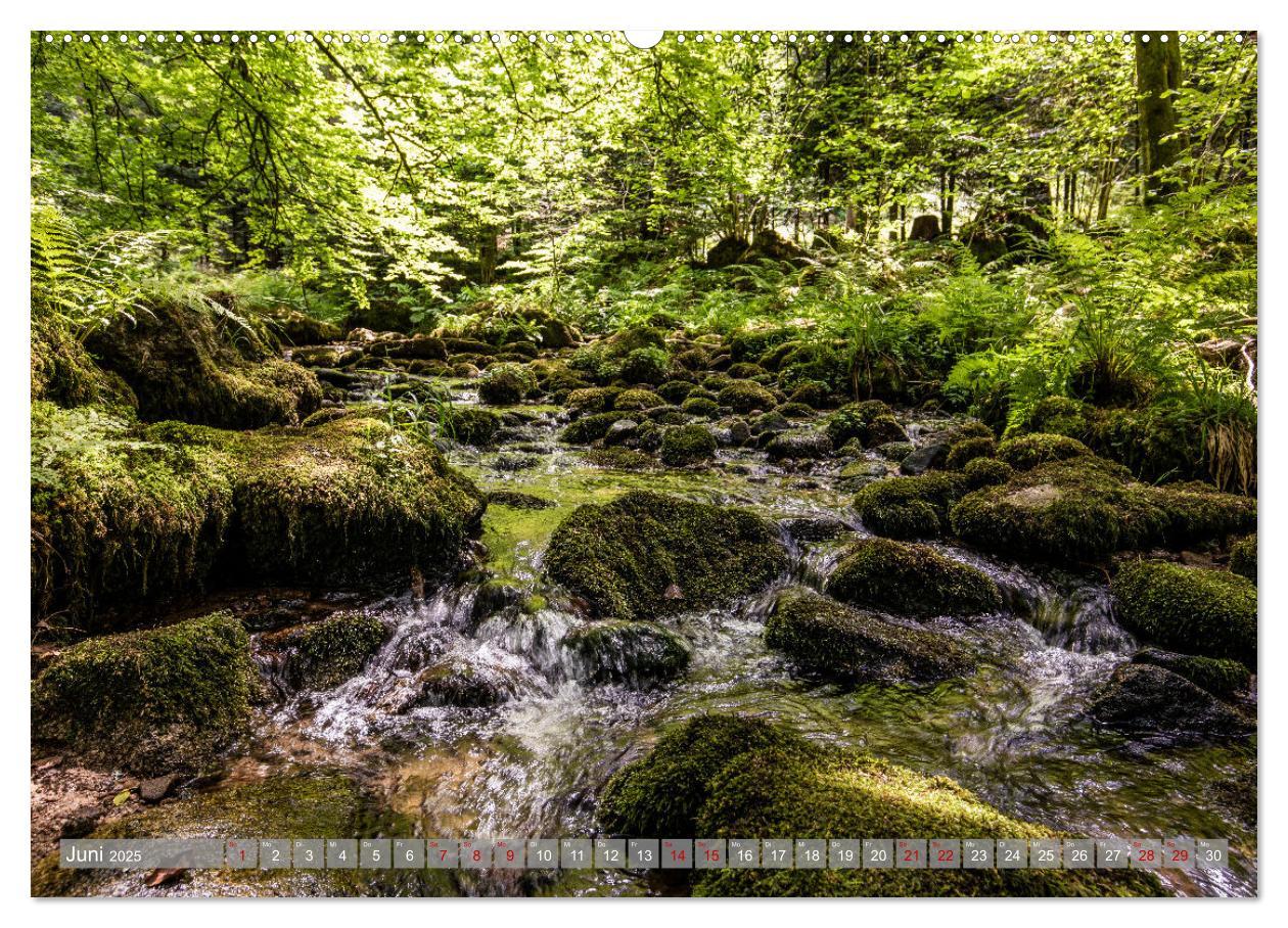 Bild: 9783435076390 | Ein Jahr im Schwarzwald (Wandkalender 2025 DIN A2 quer), CALVENDO...