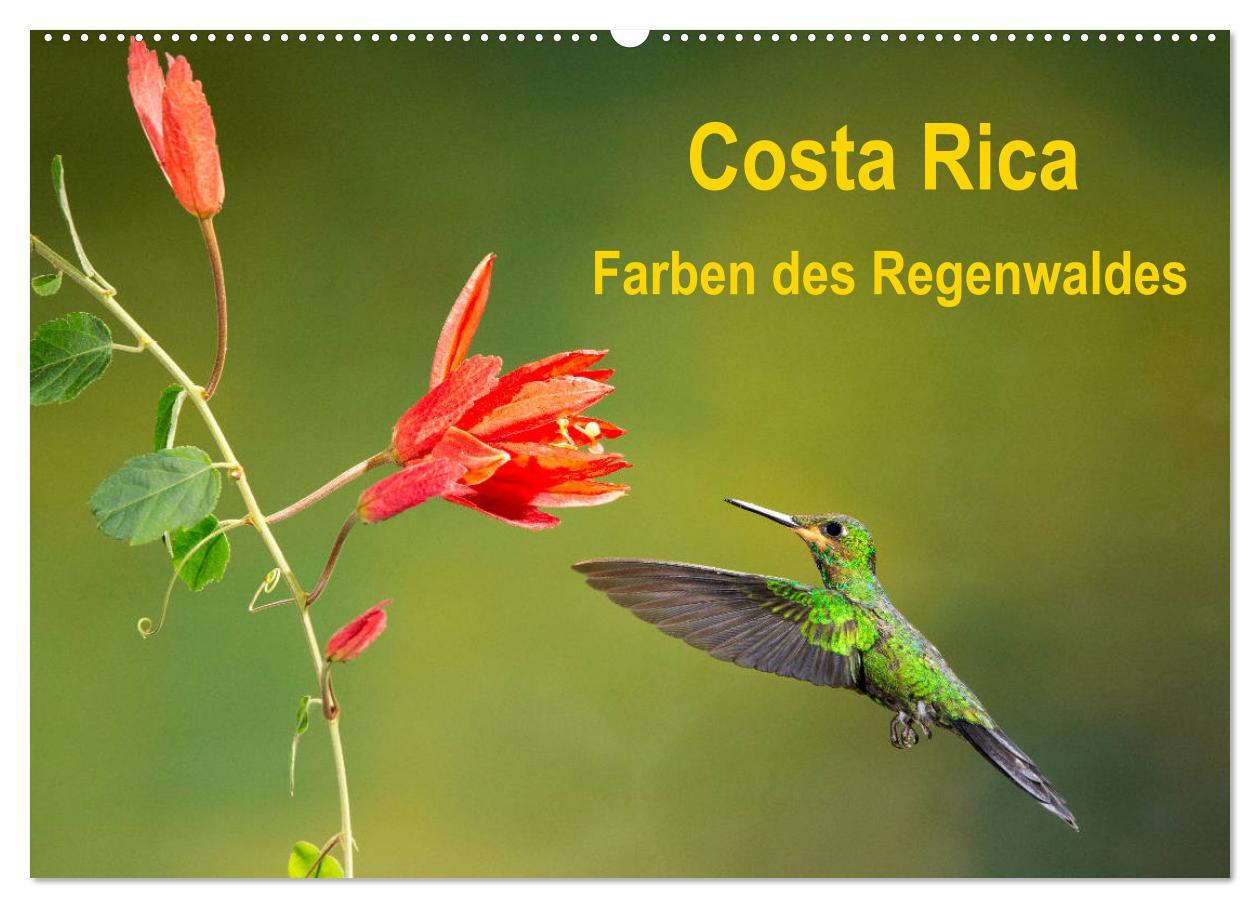 Cover: 9783435328383 | Costa Rica - Farben des Regenwaldes (Wandkalender 2025 DIN A2...